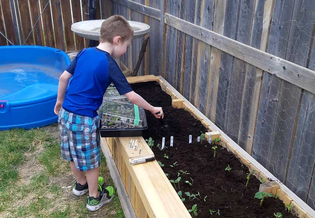 A young boy Scout digging the soil and planting seeds into a backyard raised garden box.