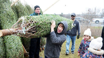 Scouts selling Christmas trees in Pickering beginning Nov. 26