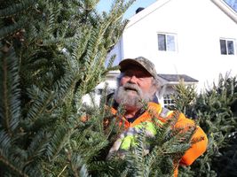 Buy Christmas tree, support Copper Cliffs scouts