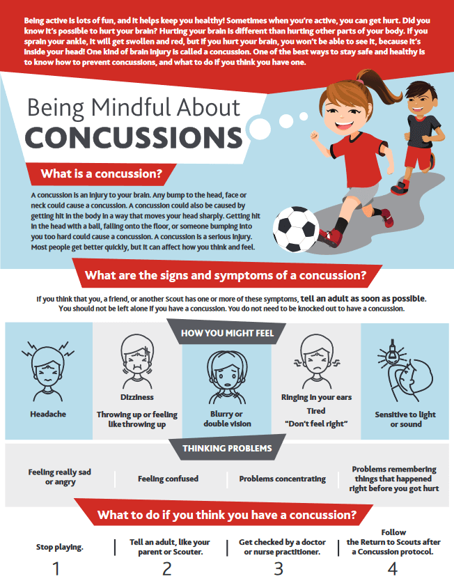 View Being Mindful about Concussions PDF