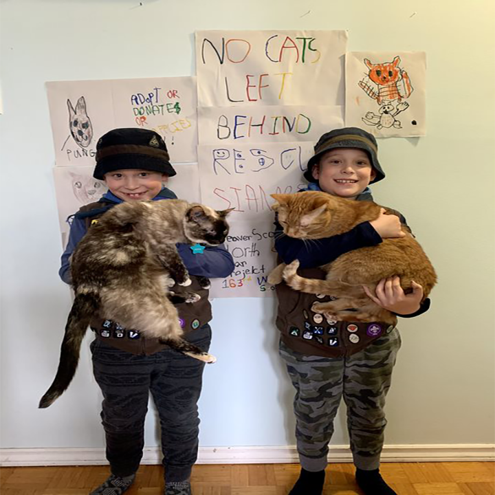 Beaver North Star Award Project: No Cats Left Behind