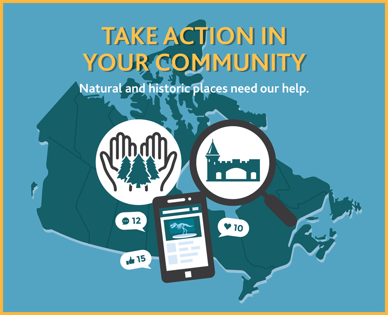 Take Action in Your Community