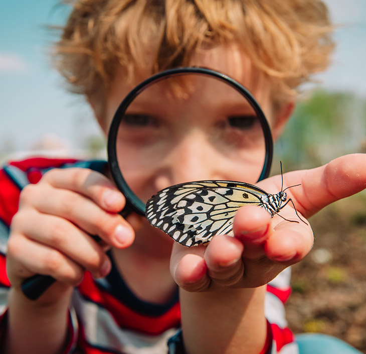 Boy looking at a butterfly with a magnifying glass